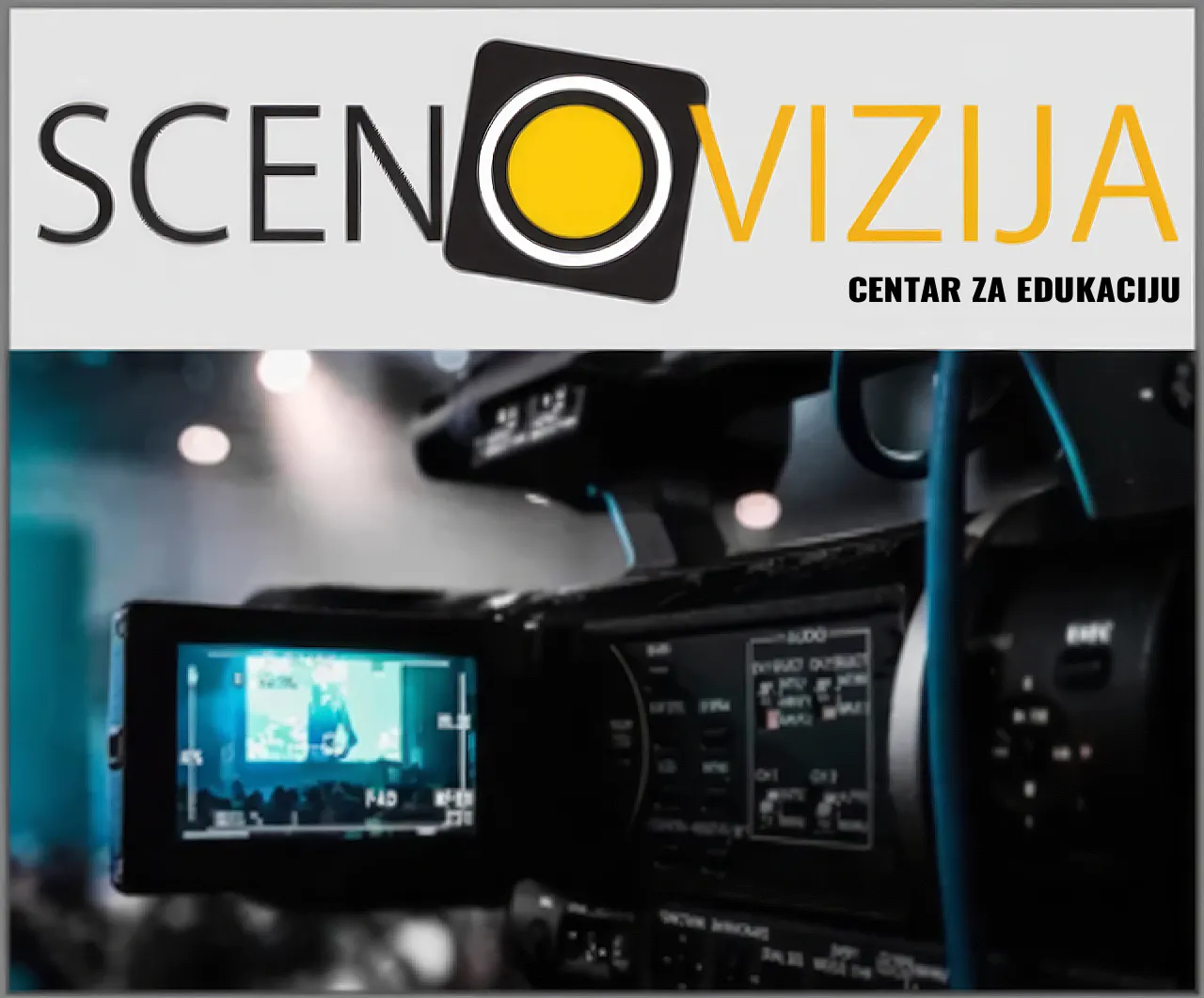 Scenovizija