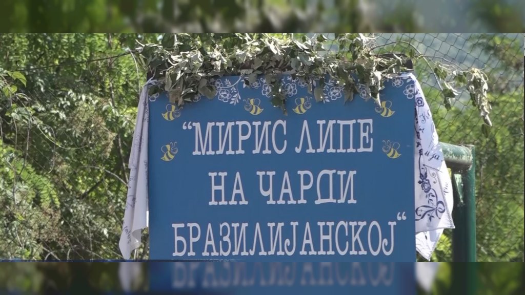 Miris lipe na čardi brazilijanskoj: Beočin u znaku tradicije i starih zanata