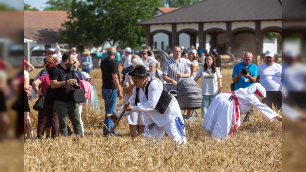Subotica: U Đurđinu održano tradicionalno 59. „Takmičenje risara”