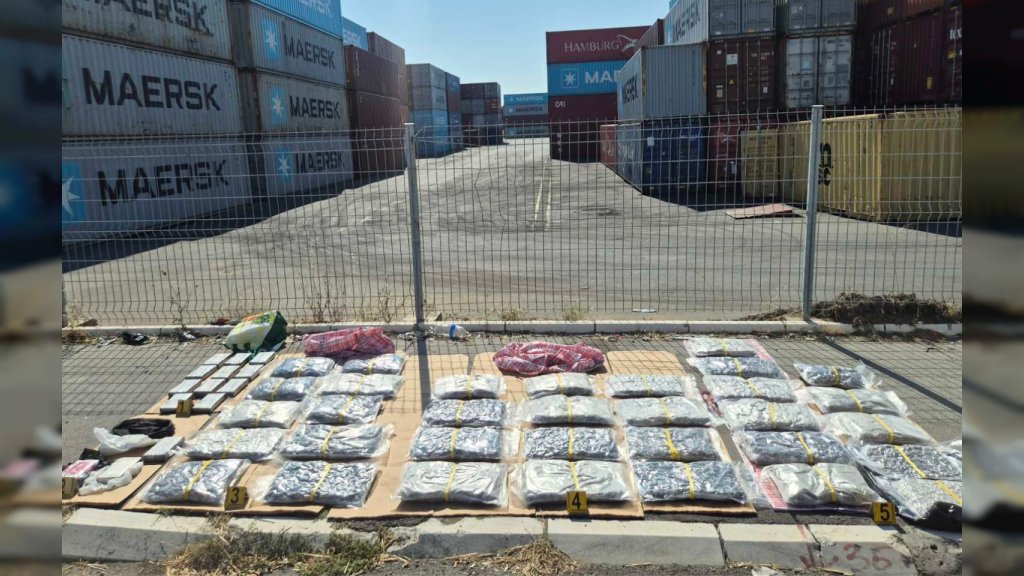 Novosadska policija zaplenila oko 85 kilograma narkotika, uhapšene tri osobe