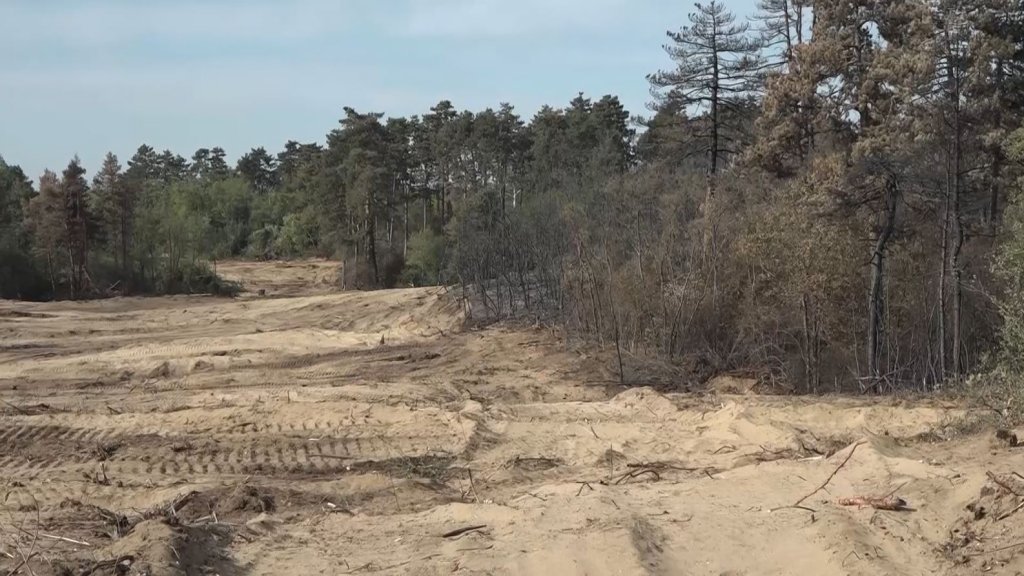 Požar u Deliblatskoj peščari ostao u granicama od prethodnog dana