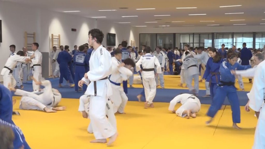 Džudisti Srbije spremni za nove izazove i borbu za medalje