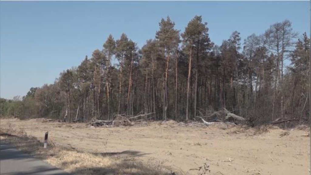 Požar u Deliblatskoj peščari pod kontrolom, ekipe i dalje na terenu
