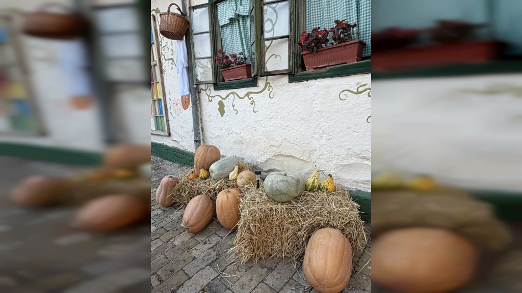 Ruma: Jesen u znaku bundeve - Dobrinci okupili ljubitelje tradicije i domaćih ukusa