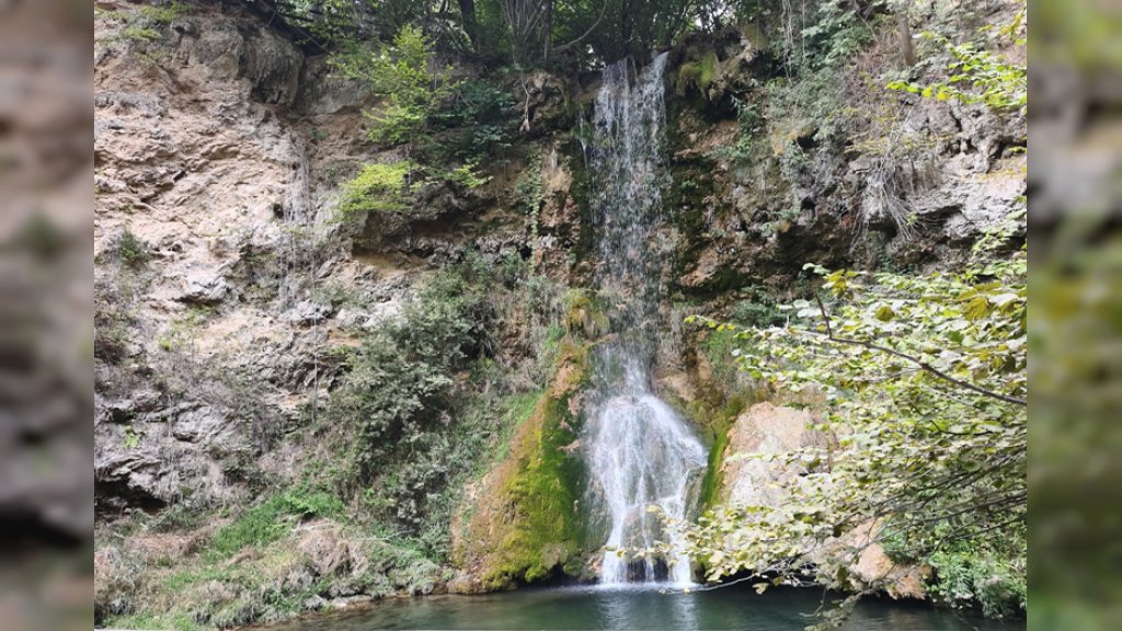 LEPOTE SRBIJE: Spomenik prirode Lisine