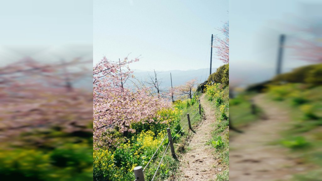 TOPLIJI VIKEND PRED NAMA Aprilsko varljivo vreme donosi i SEVERAC, i SUNCE i KAPI KIŠE