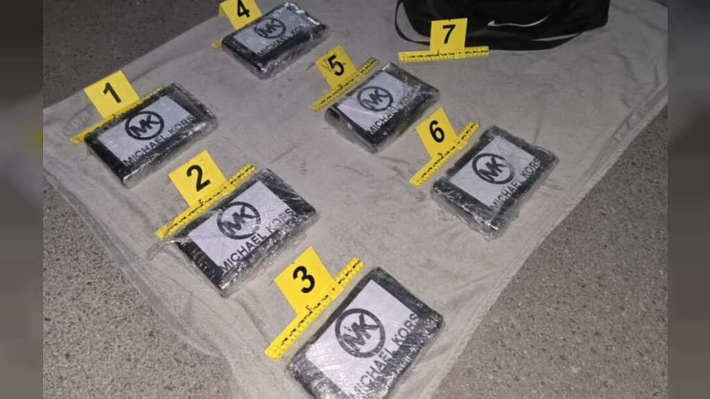 ZAPLENJENO 6 kg KOKAINA Uhapšen muškarac iz Temerina