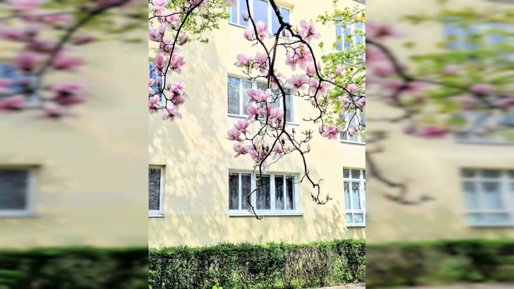 SRBIJU DANAS OČEKUJE PRAVO PROLEĆNO VREME Idealan dan, ali sa začkoljicom- Ovo može da vas iznenadi!