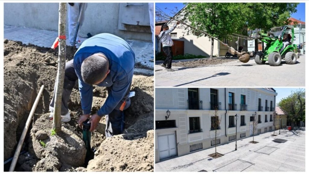 PROLEĆNO OZELENJAVANJE U NOVOM SADU Nova stabla i zalivni sistemi stižu u Almaški kraj! 