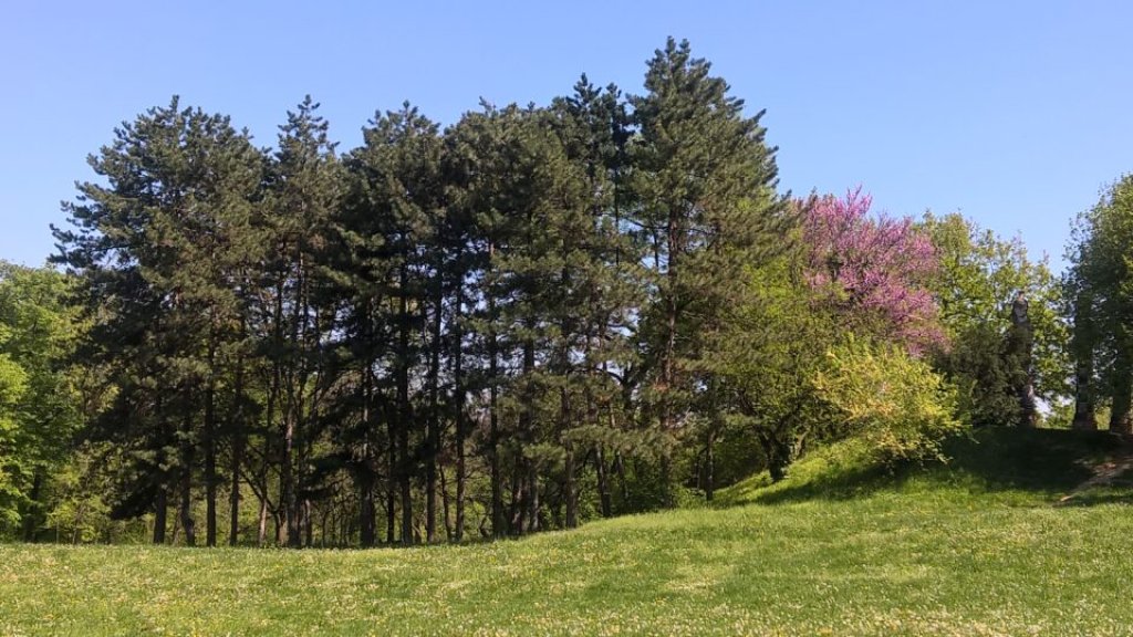 KAMENIČKI PARK SPREMAN ZA IZLETNIKE: Sve uređeno za praznični boravak