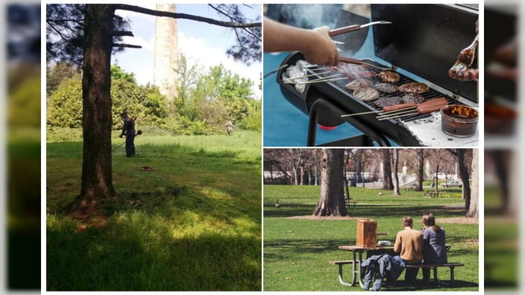 FRUŠKA GORA OČEKUJE REKORDAN BROJ POSETILACA OVOG PRAZNIKA Stigli i ljubitelji prirode iz regiona, a igla nema gde da padne- SVE VIKENDICE POPUNJENE!