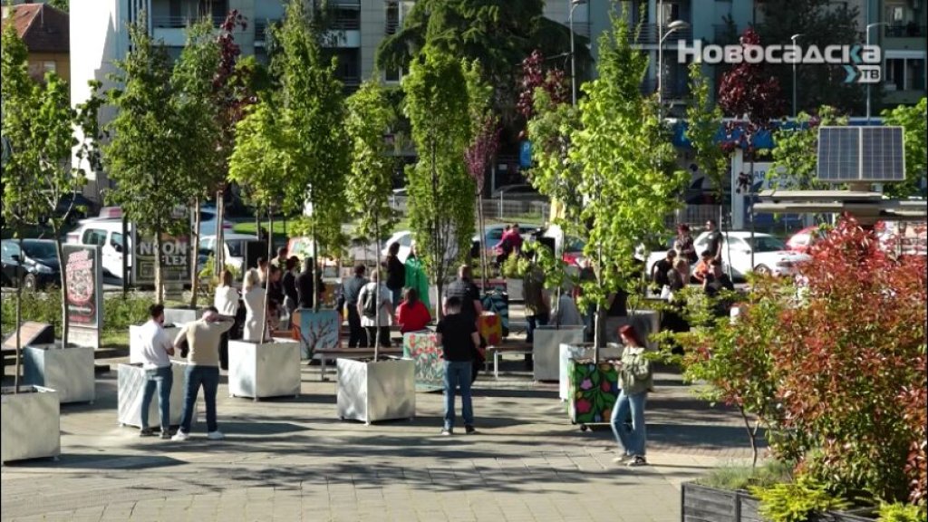 „HODAJUĆA ŠUMA” na platou Spensa