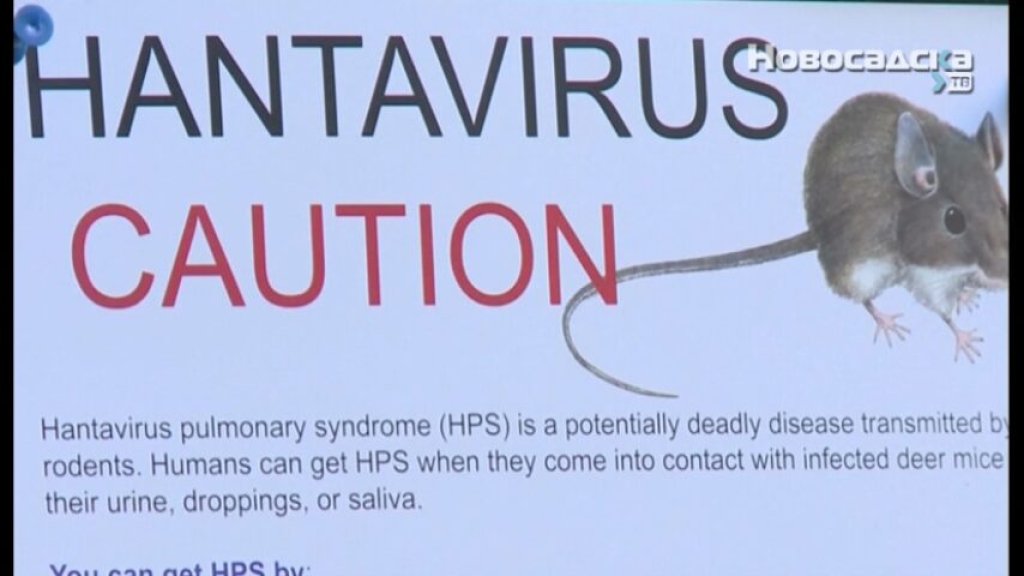 SZO: Prenos hantavirusa među ljudima moguć samo u bliskom kontaktu