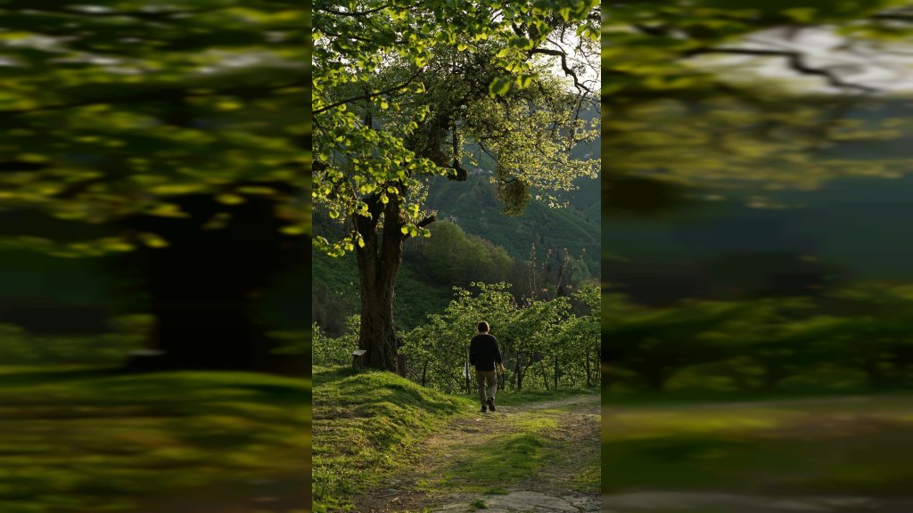 NEDELJA SUNČANA, A EVO KADA STIŽE GRAD I OLUJNO VREME! Iskoristite drugi dan vikenda, sledi ŠOK obrt