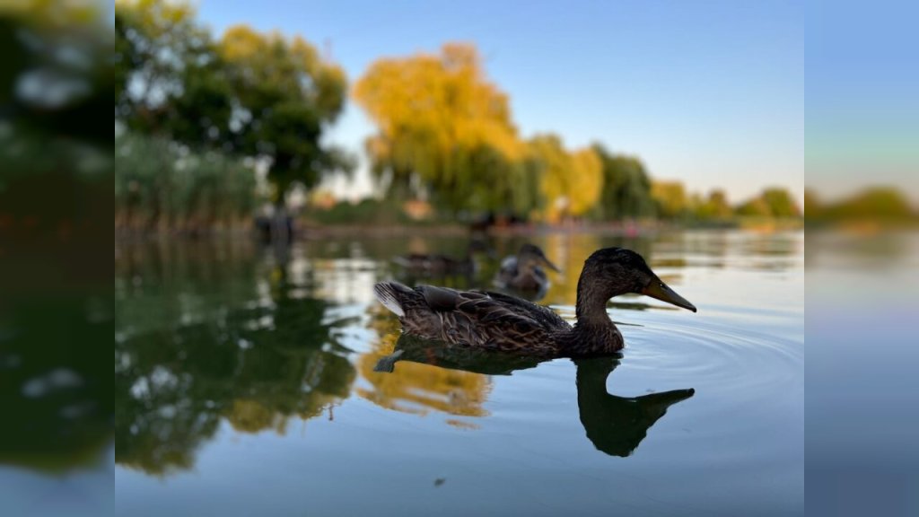 NEVREME SVE BLIŽE SRBIJI Meteorolozi izdali upozorenje za narednih PET dana! Poslednji majski dan topao i sunčan