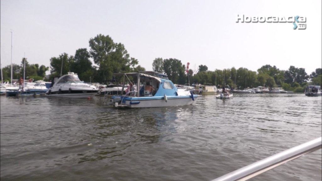 POČELA MEĐUNARODNA REGATA „VODE VOJVODINE”: Među 227 učesnika i dvogodišnjak, regataši poručuju – Organizacija za čistu desetku!