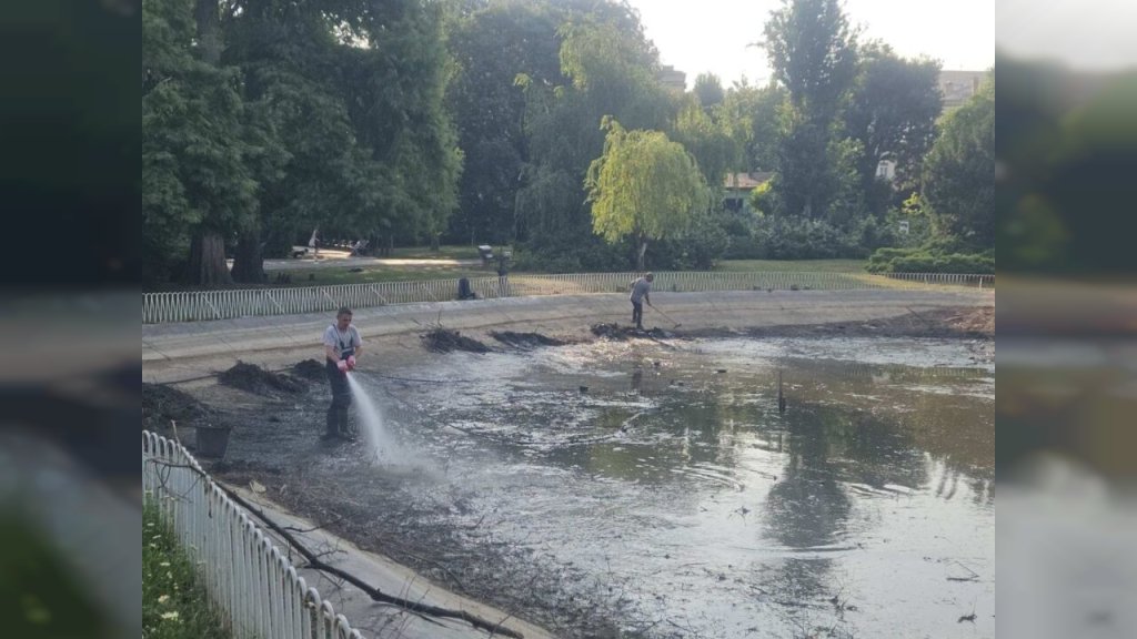 SVE PO PROTOKOLU! KORNJAČE NA BEZBEDNOM, KREĆE VELIKO ČIŠĆENJE Oglasilo se „Gradsko zelenilo”: Nema mesta uznemiravanju javnosti, jezero se čisti po redovnoj proceduri!