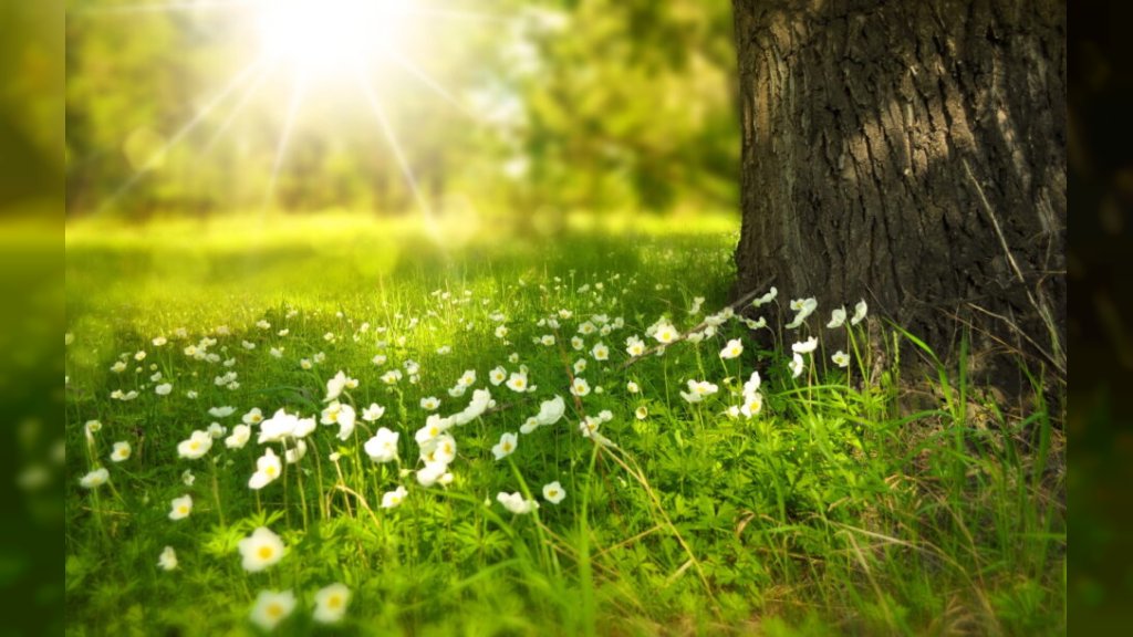 SUNCE SE VRAĆA U Srbiji danas uglavnom sunčano i toplo, sa temperaturama do 30 stepeni