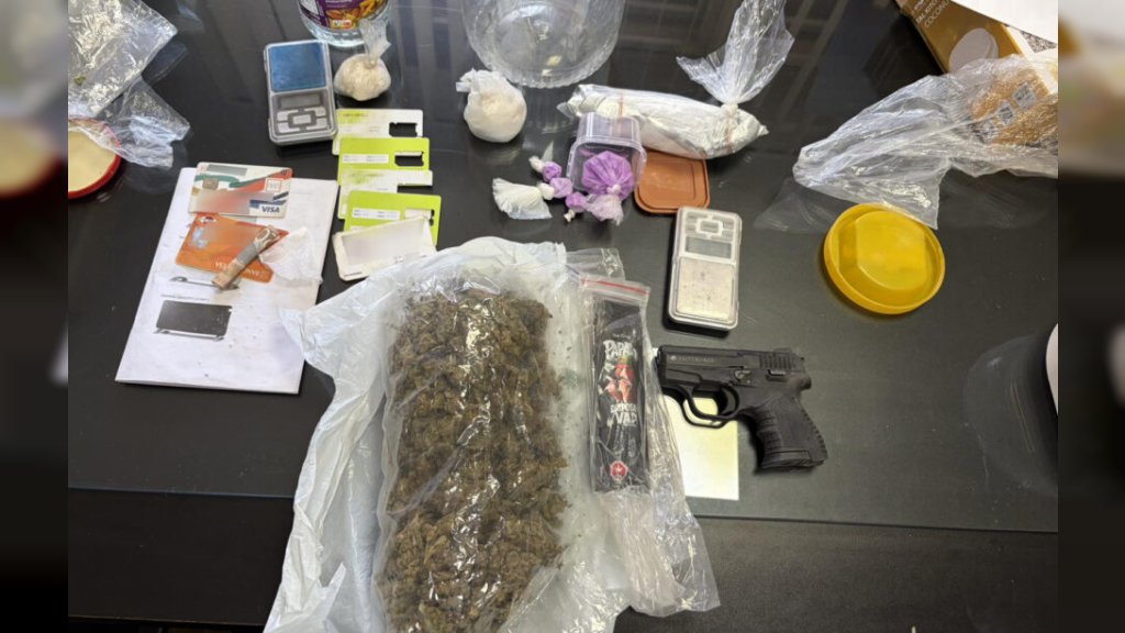 AKCIJA MUP-A U BAČKOJ PALANCI U kući pronađeni amfetamin, ekstazi, marihuana i oružje