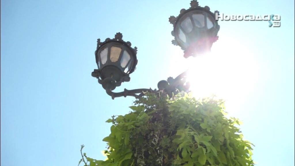 SUNČANICA NIJE OBIČNA MALAKSALOST Evo kako da je prepoznate