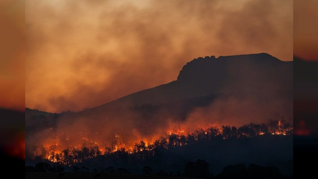 ČETIRI VELIKA POŽARA AKTIVNA U SRBIJI! Vatrogasci i Vojska u borbi sa vatrenom stihijom