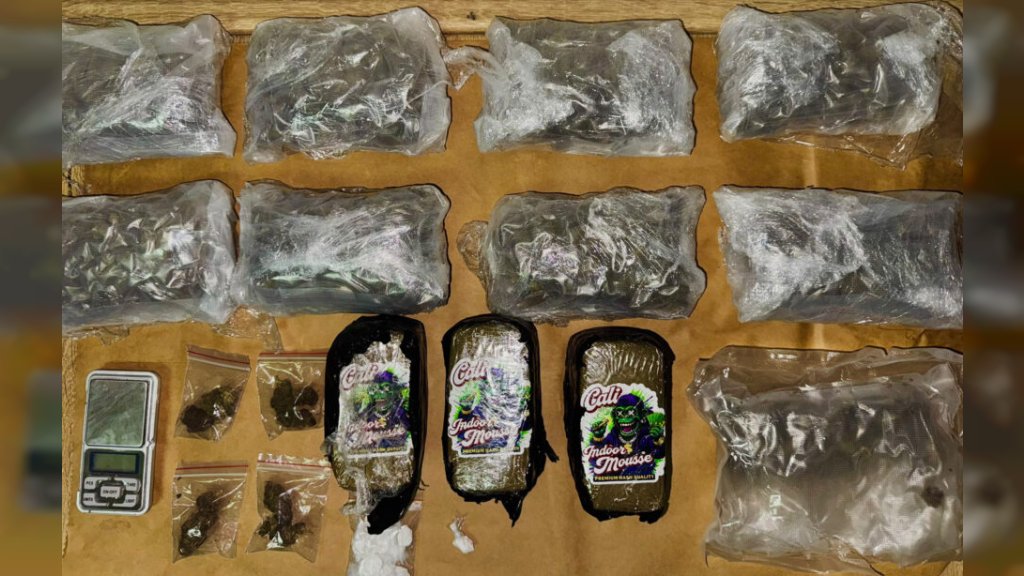 VELIKA ZAPLENA U NOVOM SADU: Uhapšen muškarac kod kog je pronađeno oko 2,5 kilograma narkotika