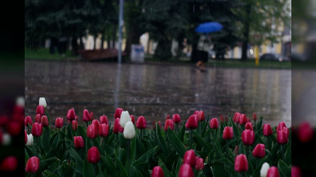 KRAJ AVGUSTA U ZNAKU VRELINE Danas do 37 stepeni, a onda stiže nagla promena vremena!