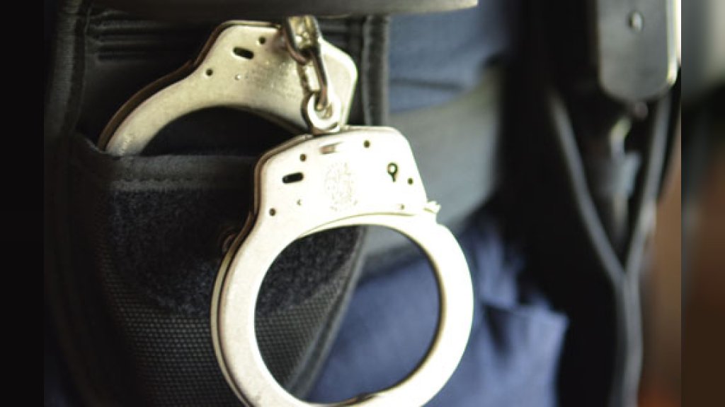 VELIKA POLICIJSKA AKCIJA U NOVOM SADU: FAST tim locirao Mađara sa međunarodne poternice!