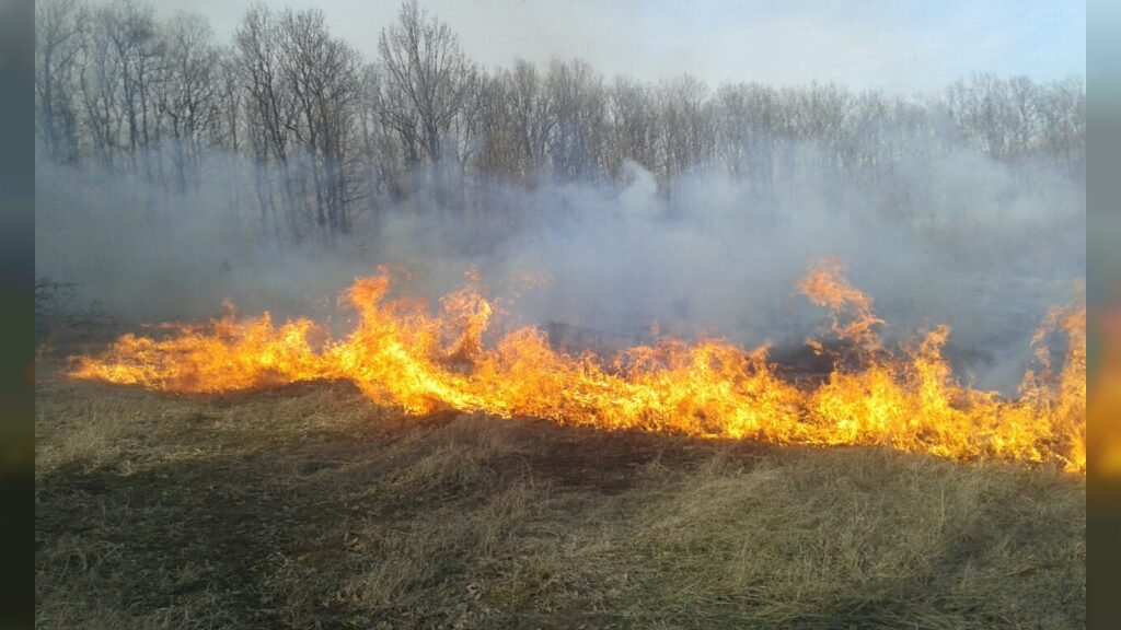 U SRBIJI AKTIVNO 34 POŽARA, na Suvoj planini požar gasi više od 170 ljudi, nema ugroženih