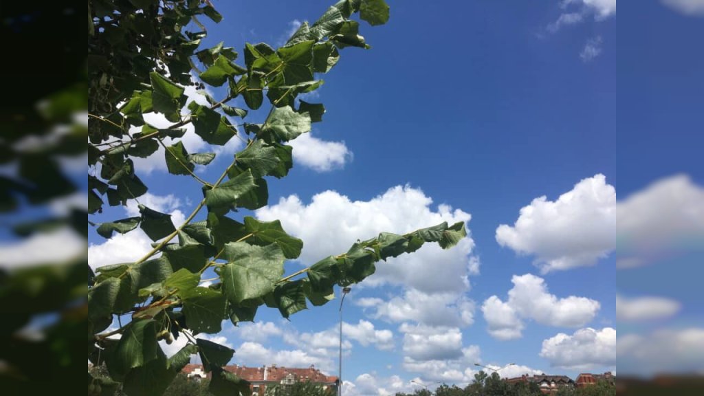 PRVOG DANA VIKENDA SMENA SUNCA I OBLAKA, lokalno sa kišom, do 32 stepena