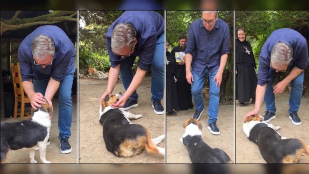 „ŽANKA MI JE BAŠ ULEPŠALA DAN!” Vučić sreo napuštenog psa čudesne duše, pa joj dao prelepo ime