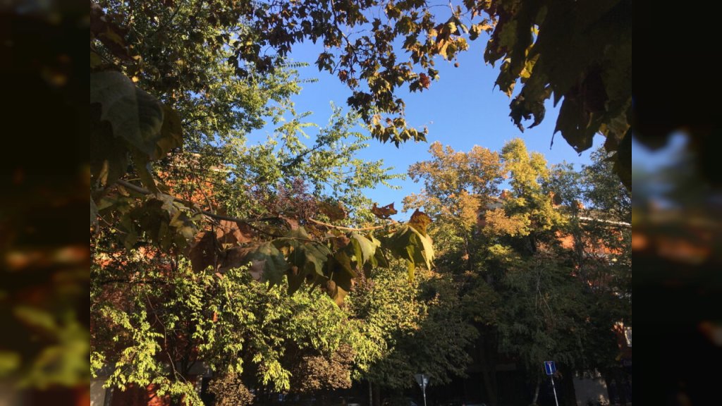 PRAVO JESENJE VREME U Srbiji danas hladno jutro, tokom dana oblačno i ponegde sa slabom kišom