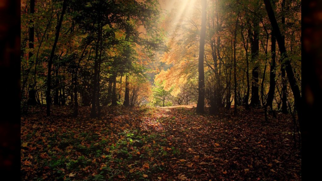 PRAVO JESENJE JUTRO, ALI SUNCE NE VRAĆA TOPLINU Spremite jakne, danas hladno uz maksimalnih 25 stepeni!