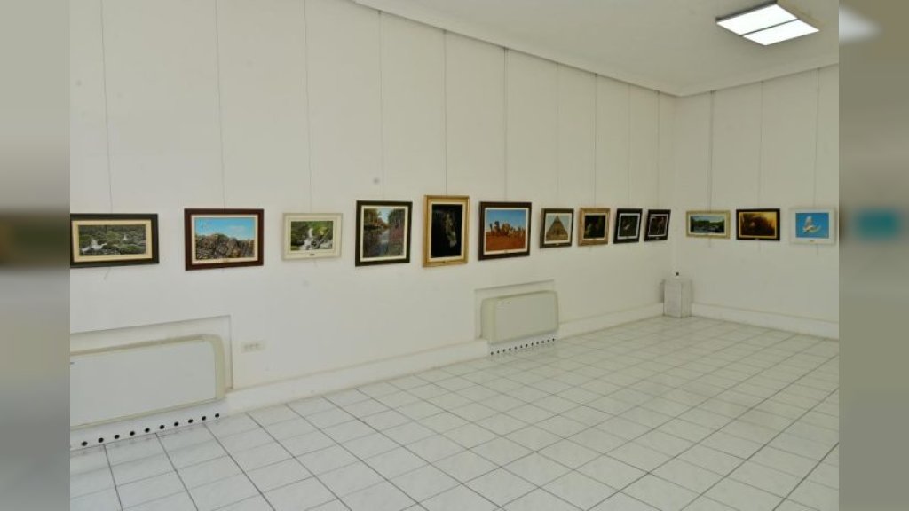 U Likovnoj galeriji u Kuli otvorena izložba slika Miloša Trbića