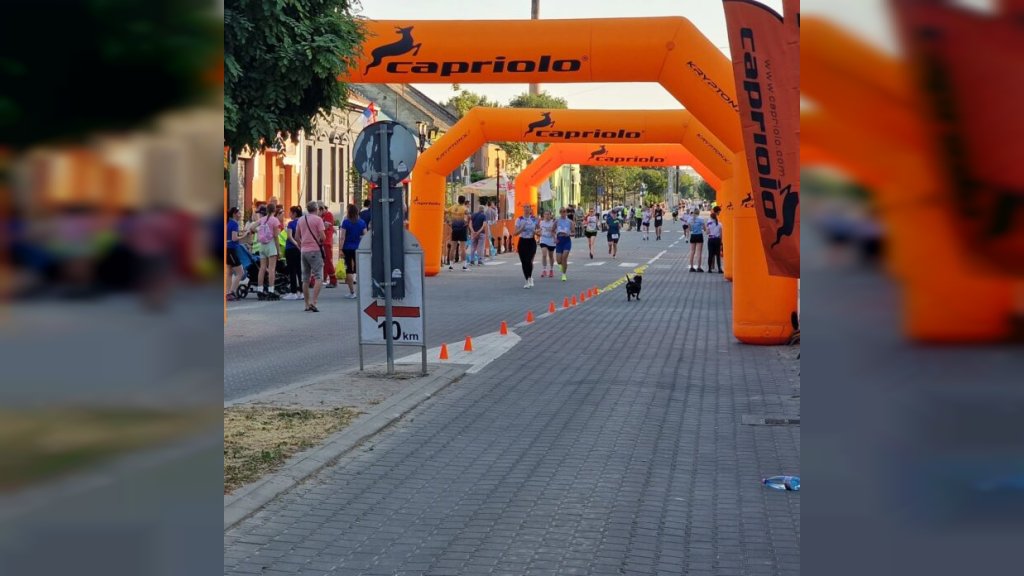 Izmena režima saobraćaja u Kuli za vreme „Trke prijateljstva“
