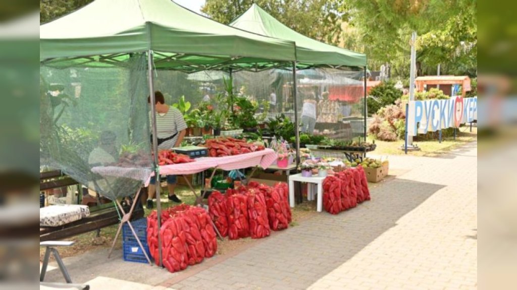 Održana manifestacija ,,Dani krsturske paprike“
