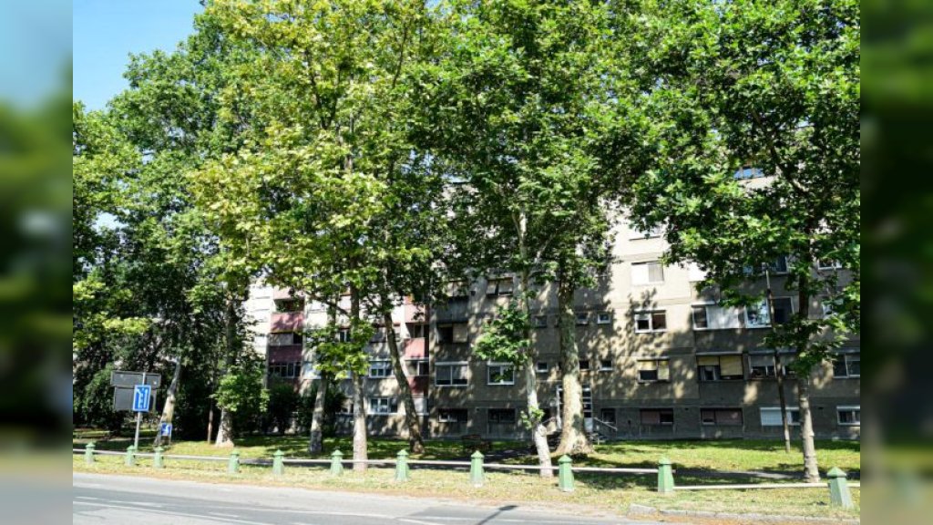 Vremenska i biometeorološka prognoza