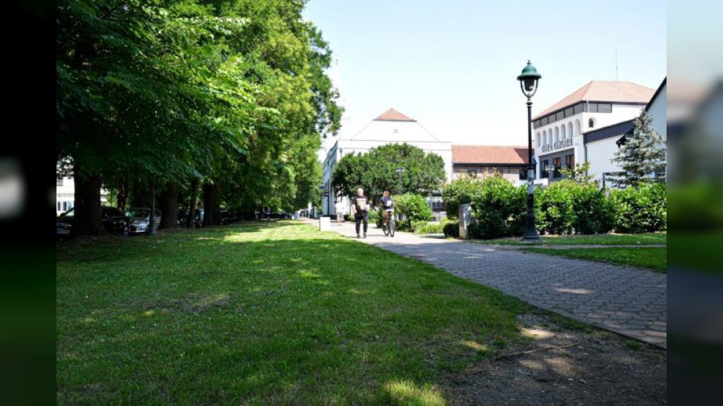 Vremenska i biometeorološka prognoza