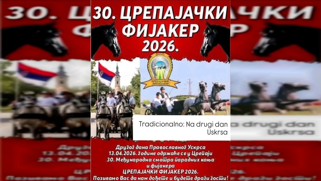 Jubilarni “Crepajački fijaker”: praznik zaprega i tradicija, parada lepote konja i ponos Banata