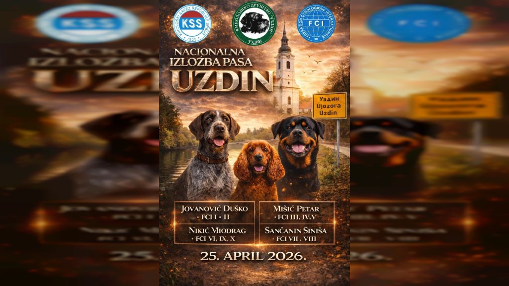 Uzdin domaćin Nacionalne izložbe pasa