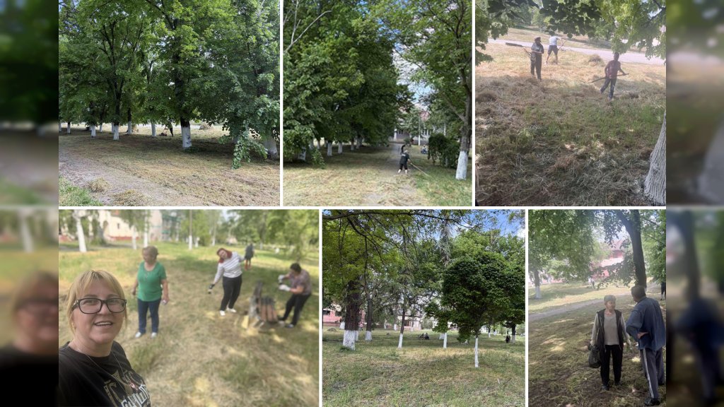 Snažno treće doba i pokretačka energija žena: Prolećna akcija uređenja centra Samoša