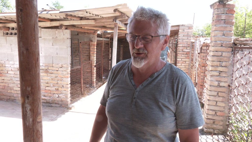 Ljubav na četiri šape: Dan otvorenih vrata u prihvatilištu za pse ”Sara i Bobi” u Idvoru