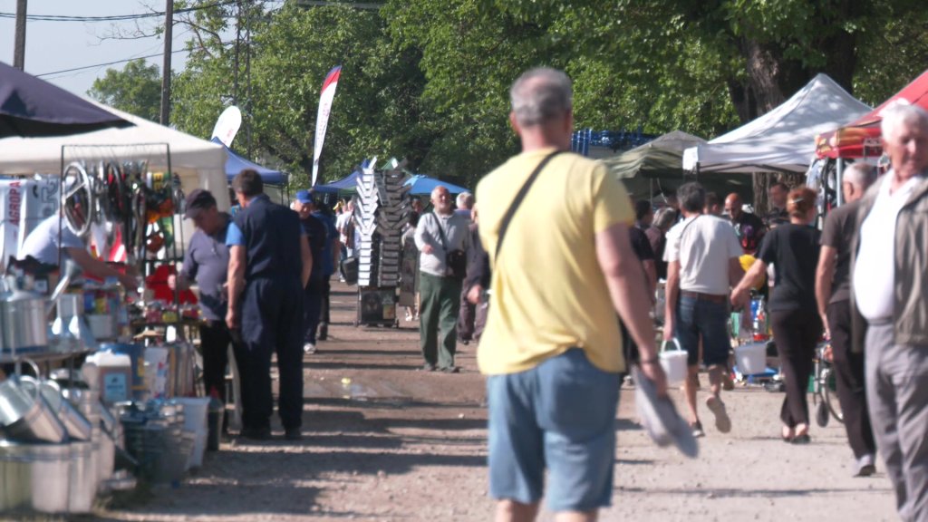 Junski vašar u Debeljači okupio brojne izlagače i posetioce