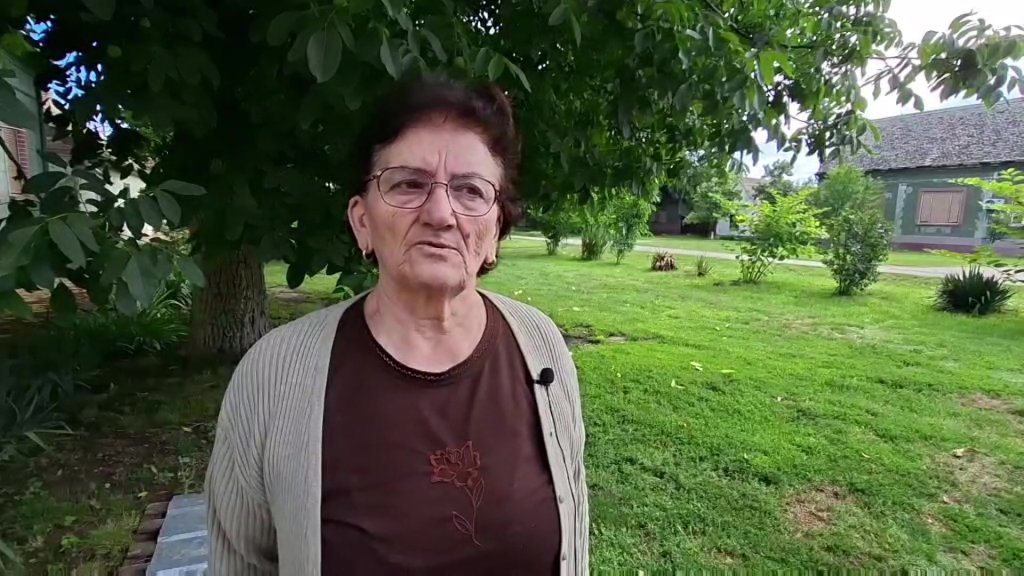 Ivanjdan i Dan rumunske narodne košulje u Uzdinu