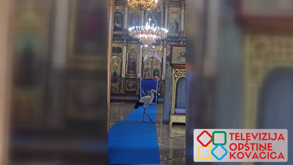 Roda Malena ušetala u crkvu u Idvoru i osvojila društvene mreže
