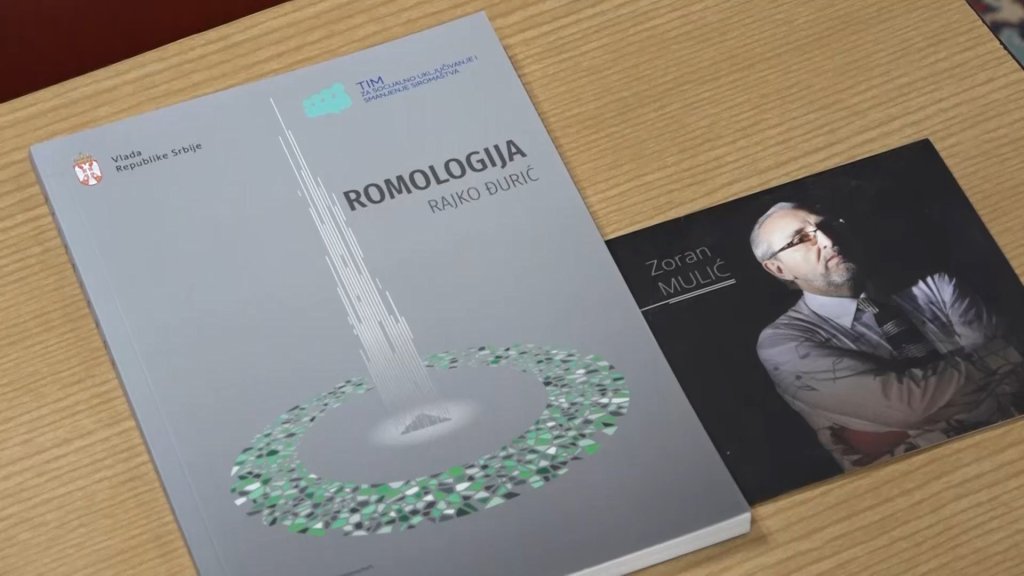 Nakon završetka ove škole romski đaci biraju gde će se zaposliti