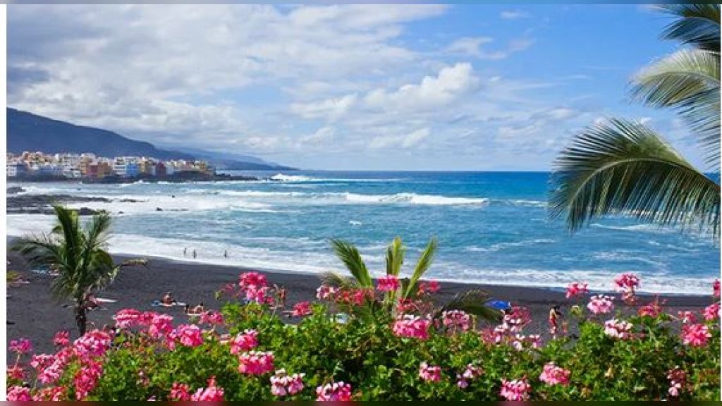 Er Srbija od 15. septembra uvodi liniju do ostrva Tenerife