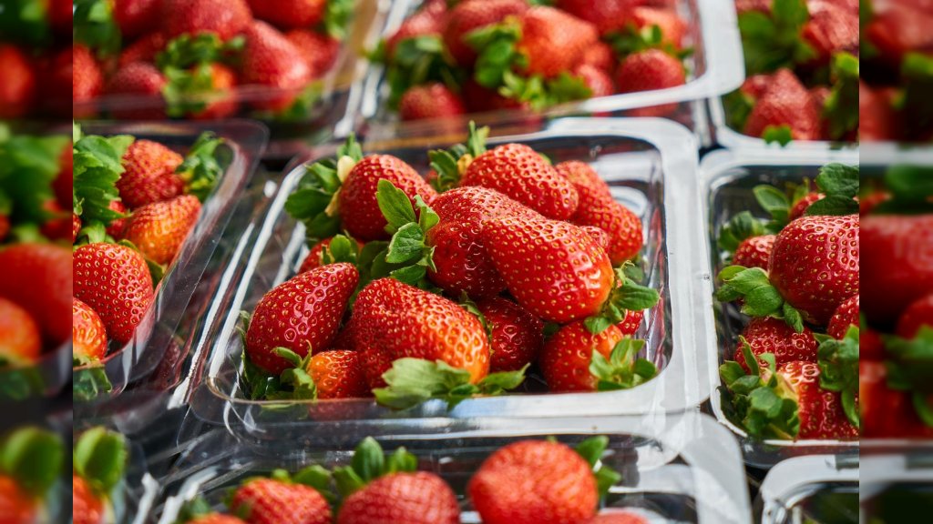 Uloga kvalitetne ambalaže u lokalnoj prehrambenoj industriji Pančeva