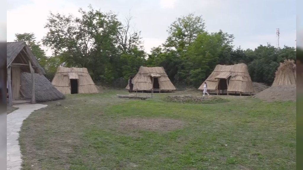 Noć muzeja u Starčevu: muzika i nasleđe