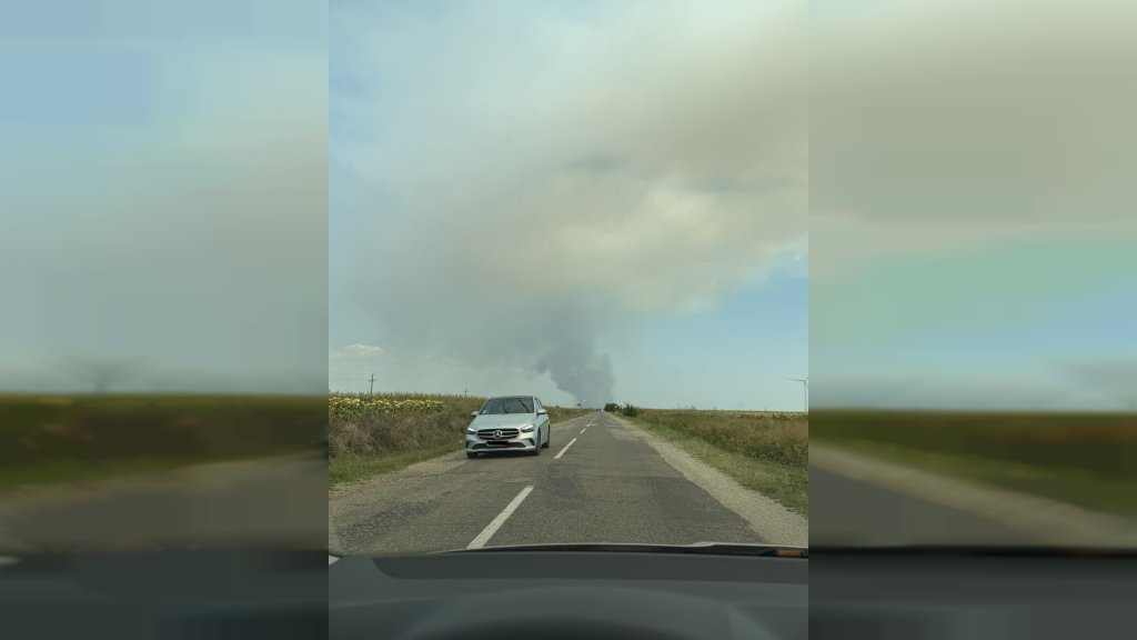 VETAR RASPLAMSAO VATRU: Gori 300 hektara Deliblatske peščare, u toku velika akcija gašenja